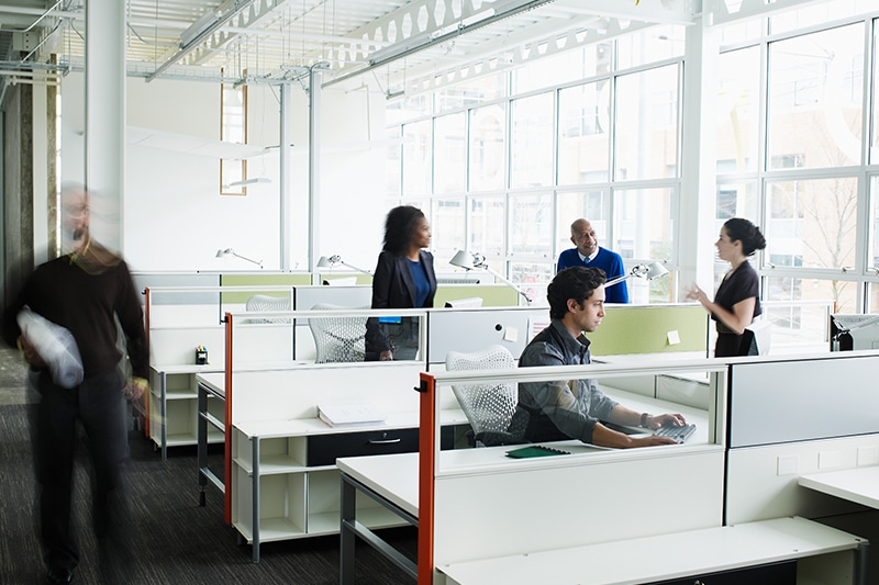 Movers Moving Colorado Springs 5 Star Moving & Storage